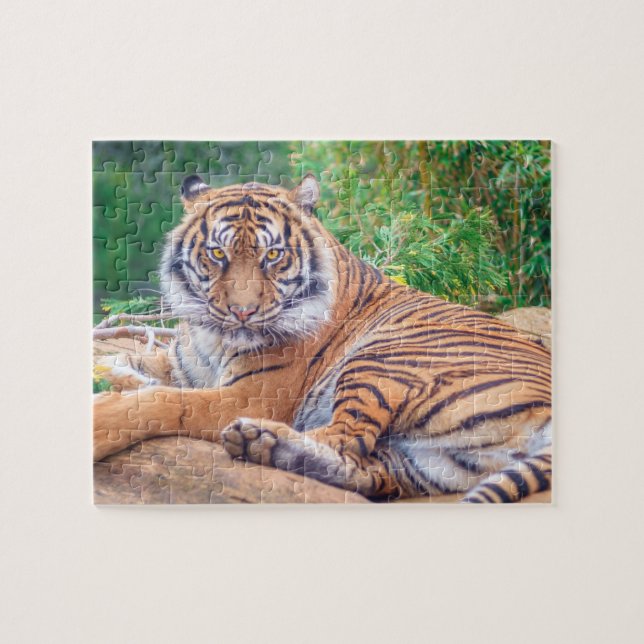 Relaxter Tiger Puzzle (Horizontal)