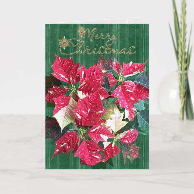 Religiöse Zuckerstange-Poinsettia-Weihnachtskarte Feiertagskarte (Vorderseite)