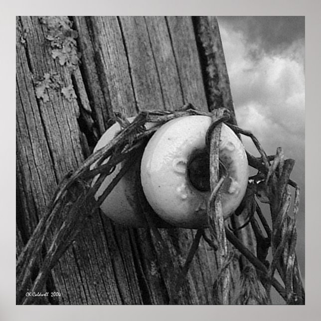 Relikt Poster (Vorne)