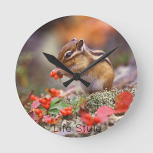 Reloj de pared Chipmunk Runde Wanduhr