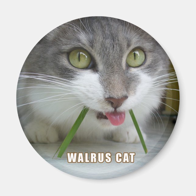 Rema Magnet 011 (Vorne)