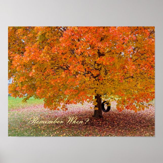 Remember When? Poster (Vorne)