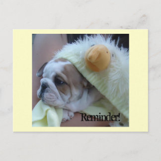 Reminder Postcards English Bulldog Puppy Postkarte