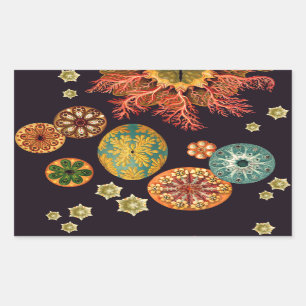 Remix-Aufkleber für Sea Squirt Rechteckiger Aufkleber