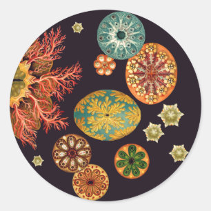 Remix-Aufkleber für Sea Squirt Runder Aufkleber