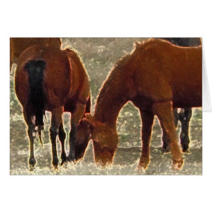 Remuda Herd Grazes - Ranch Kuh Pferde - Leere