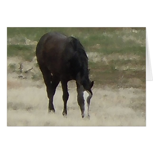 Remuda Herd Grazes - Ranch Kuh Pferde - Leere (Vorderseite (Horizontal))