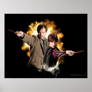 Remus Lupin und Nymphadora Tonks-Lupin Poster