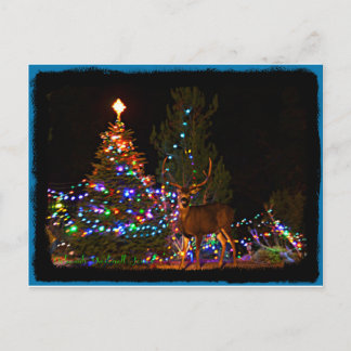 Ren- und Weihnachtslichter Postkarte