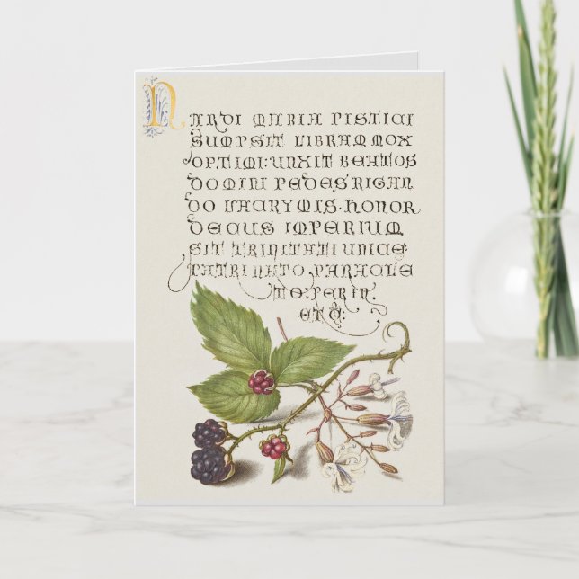Renaissance BlackBerry Fruit Calligraphy Karte (Vorderseite)