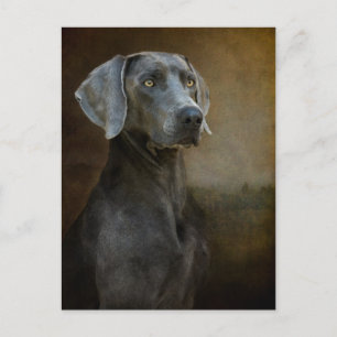 Renaissance Blue Postcard Postkarte