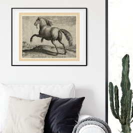 Renaissance-Hengst Spanisches Pferd von Stradanus Poster