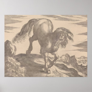 Renaissance Horst Poster Vintager Hengst auf dem H