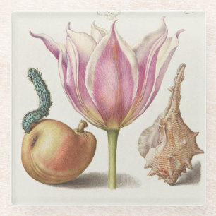 Renaissance-Kalligrafiekunst rosa Tulpe und Birne Glasuntersetzer