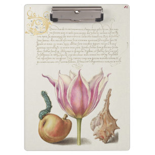Renaissance-Kalligrafiekunst rosa Tulpe und Birne Klemmbrett