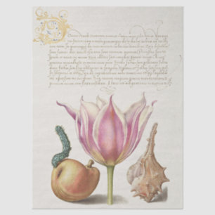 Renaissance-Kalligrafiekunst Rosa Tulpe und Birne Seidenpapier