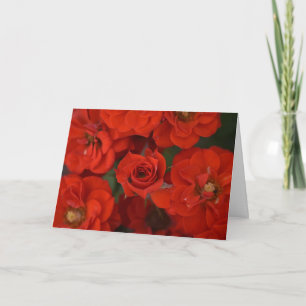 Renaissance-Rose 2 Karte