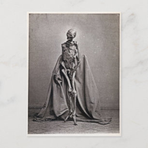 RendswæMan Postkarte