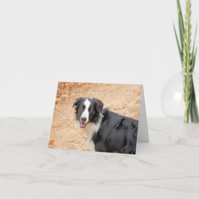 Rene Feiertagskarte (Vorderseite)