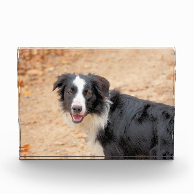 Rene Fotoblock (Vorderseite)