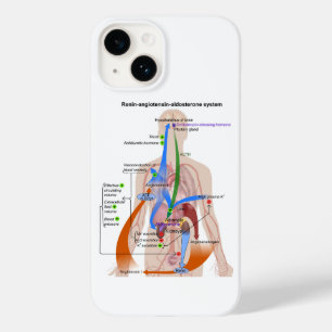 Renin-Angiotensin-System-Diagramm Case-Mate iPhone 14 Hülle