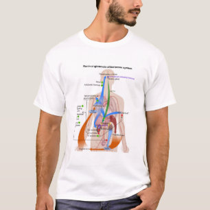 Renin-Angiotensin-System-Diagramm T-Shirt