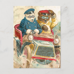 Rennbären Postkarte