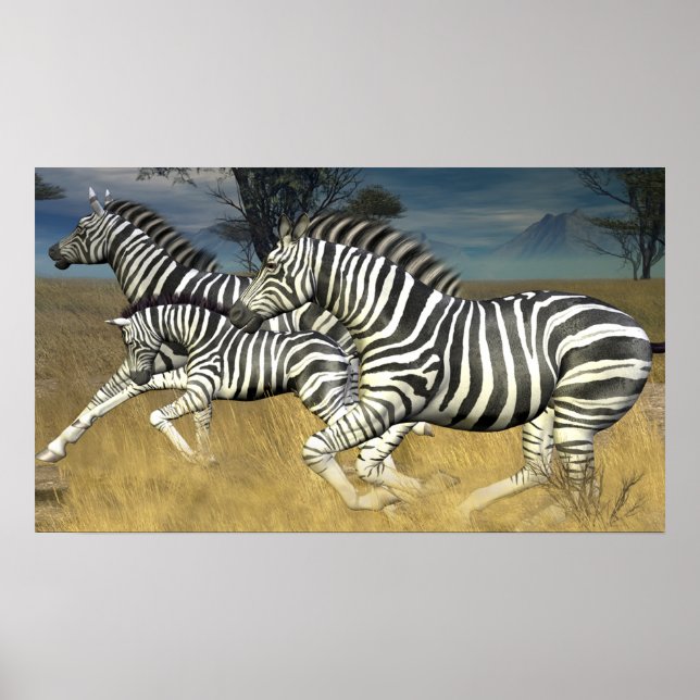 Rennstreifen - Herd des Zebra Poster-Prints Poster (Vorne)
