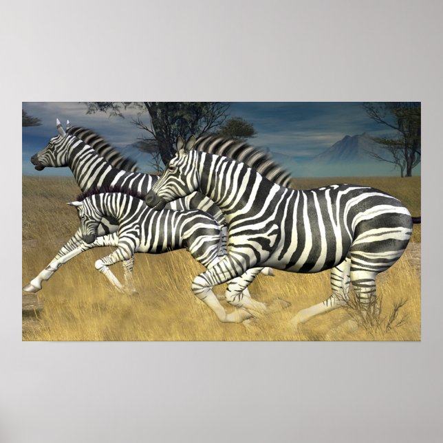 Rennstreifen - Zebra Print laufen Poster (Vorne)