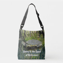Rente Turtle Foto Wasser Reflektionsart