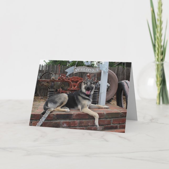 Rentenkarte Lucky Dog German Shepherd Card Karte (Vorderseite)