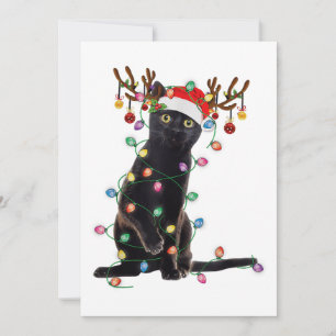 Rentier Black Cat Christmas Lights Funny Cat Liebe Einladung