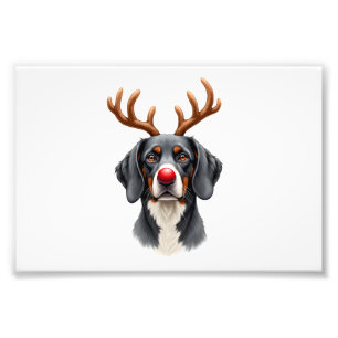 Rentier Great Dane Weihnachten Great Dane Hundemam Fotodruck