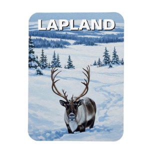 Rentier in Lappland Finnland Reise Magnet