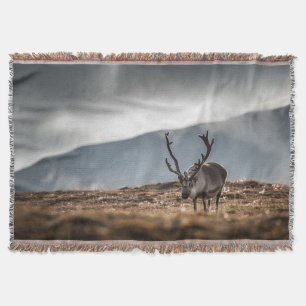 Rentier Nature Foto Decke