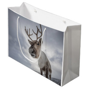 Rentier Nature Foto Große Geschenktüte