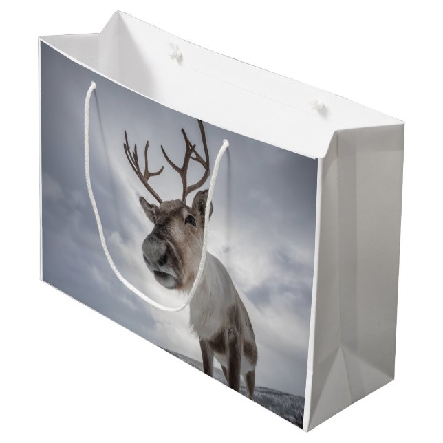 Rentier Nature Foto Große Geschenktüte (Vorderseite Schrägansicht)