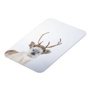 Rentier Nature Foto Magnet