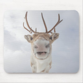 Rentier Nature Foto Mousepad