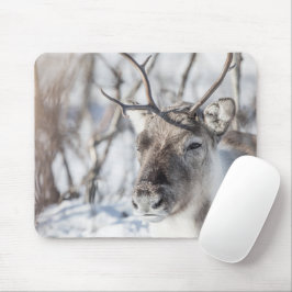Rentier Nature Foto Mousepad