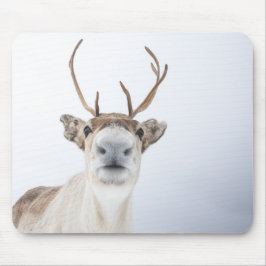 Rentier Nature Foto Mousepad