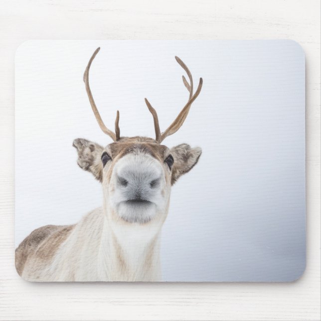 Rentier Nature Foto Mousepad (Vorne)