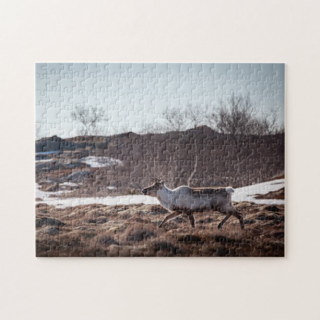 Rentier Nature Foto Puzzle (Horizontal)