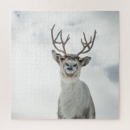 Rentier Nature Foto Puzzle