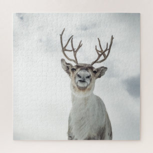 Rentier Nature Foto Puzzle