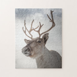 Rentier Nature Foto Puzzle