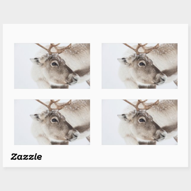 Rentier Nature Foto Rechteckiger Aufkleber (Blatt)