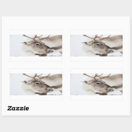 Rentier Nature Foto Rechteckiger Aufkleber