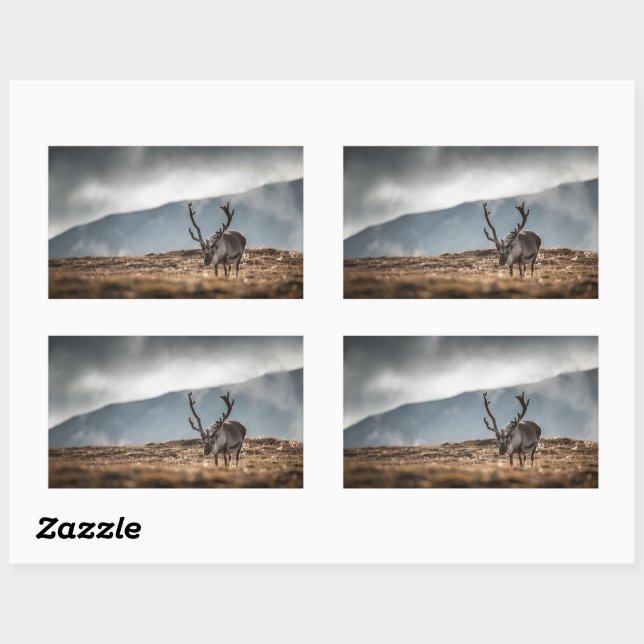 Rentier Nature Foto Rechteckiger Aufkleber (Blatt)