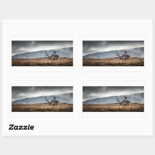 Rentier Nature Foto Rechteckiger Aufkleber